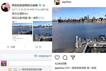 周杰伦昆凌看海鸟颇悠闲 铁杆粉丝买公车广告送祝福