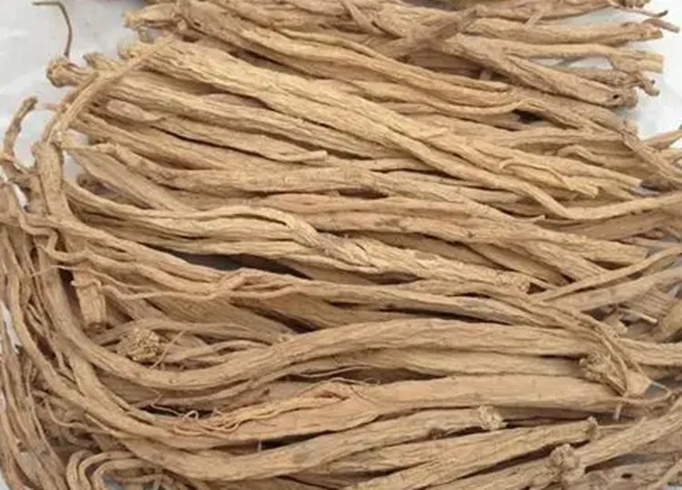 党参的功效与作用