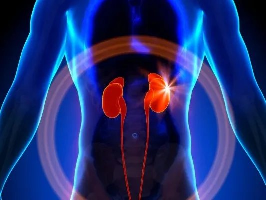 肾透析能活多久