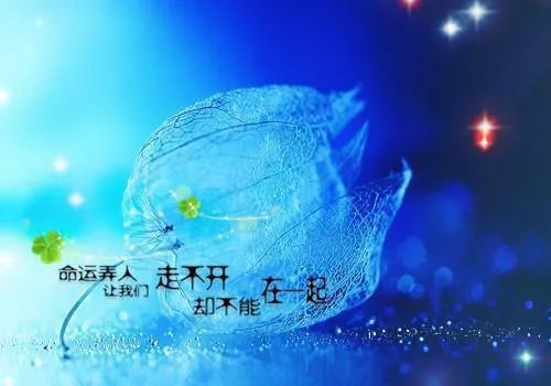 叶灵月的故事免费阅读 叶灵月的故事小说