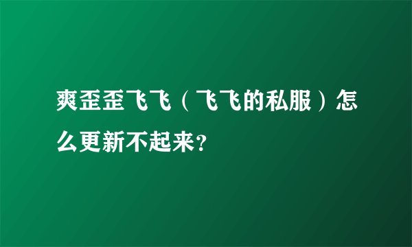 爽歪歪飞飞（飞飞的私服）怎么更新不起来？