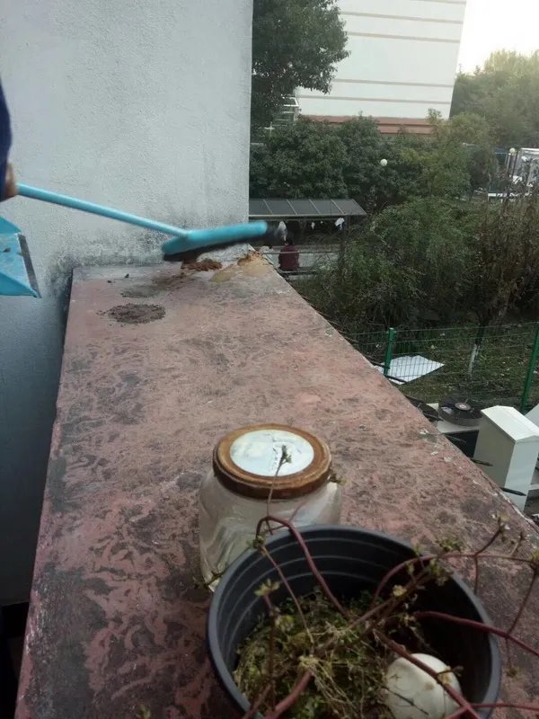 粪便空袭女寝阳台是怎么回事呢?