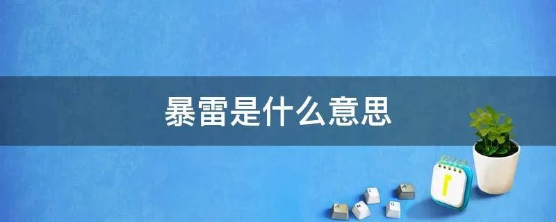 暴雷是什么意思