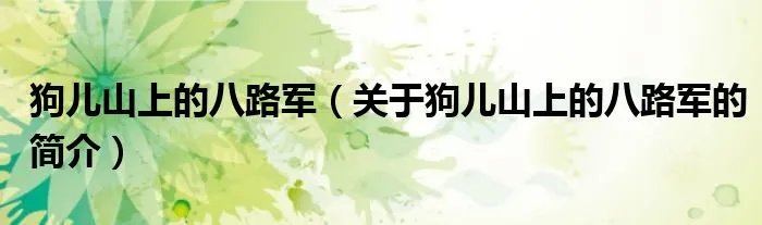 狗儿山上的八路军（关于狗儿山上的八路军的简介）