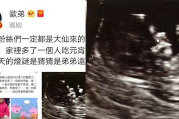 欧弟老婆怀二胎 微博上和大家分享幸福时刻