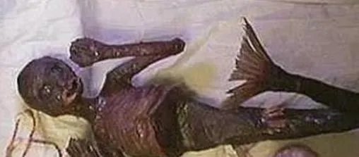3000年神秘人鱼遗体竟罕见曝光(图)