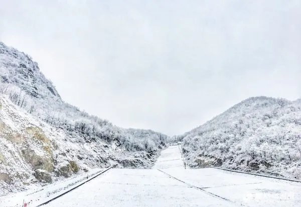 祁连山景区突降大雪,现场的情况如何?