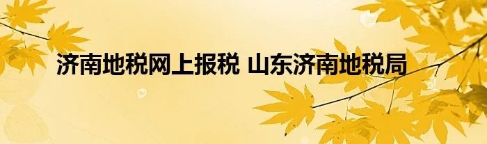济南地税网上报税 山东济南地税局