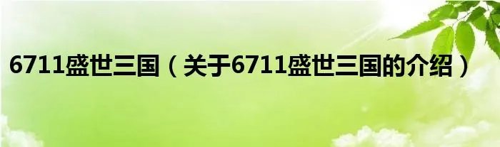 6711盛世三国（关于6711盛世三国的介绍）