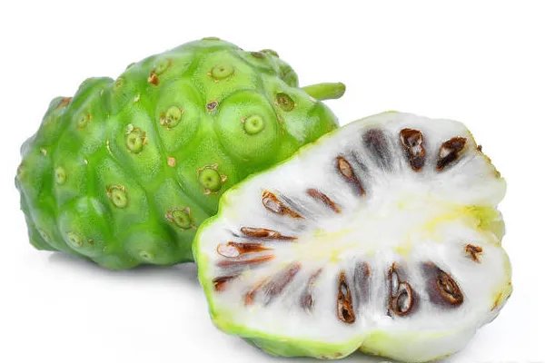 什么不适合喝诺丽果