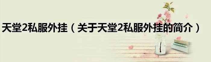 天堂2私服外挂（关于天堂2私服外挂的简介）