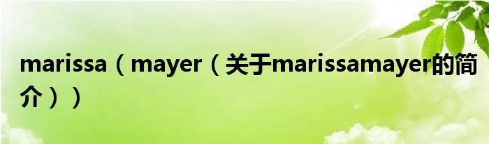 marissa（mayer（关于marissamayer的简介））