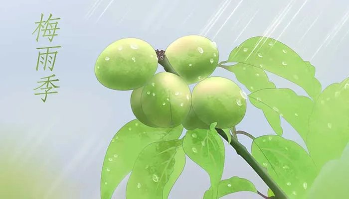 梅雨季节是几月份