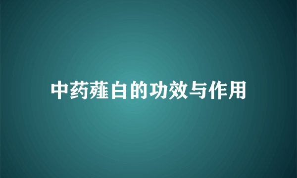 中药薤白的功效与作用