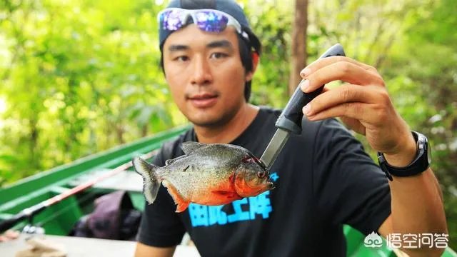 除了《游钓中国》，你还喜欢什么钓鱼类视频？