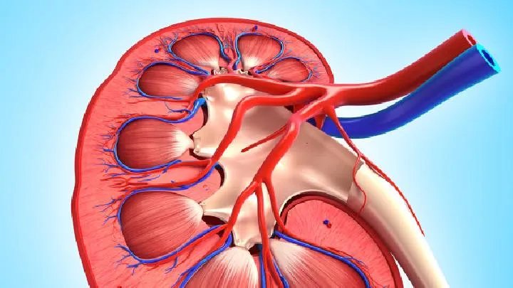 尿毒症早期症状有哪些
