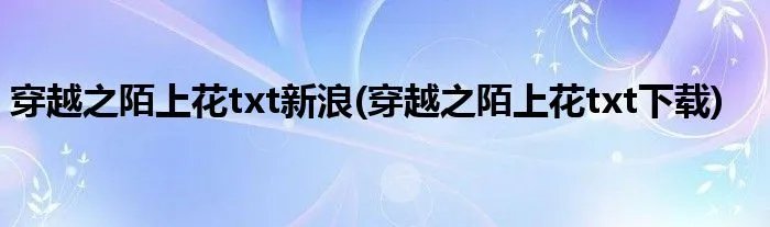 穿越之陌上花txt新浪(穿越之陌上花txt下载)