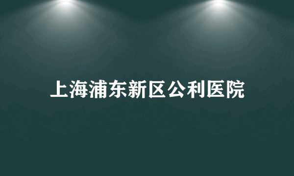 上海浦东新区公利医院