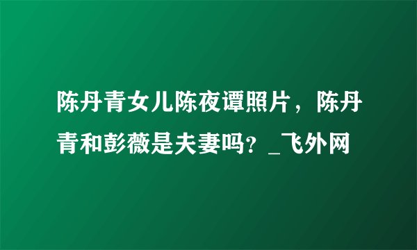 陈丹青女儿陈夜谭照片，陈丹青和彭薇是夫妻吗？_飞外网