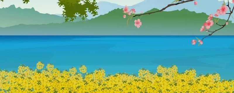 广寒仙境是哪里