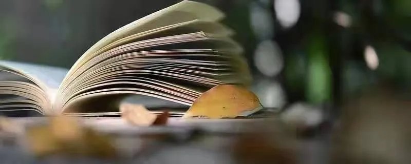 同人文是什么意思 同人文是什么意思你知道吗