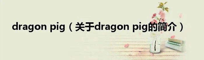 dragon pig（关于dragon pig的简介）