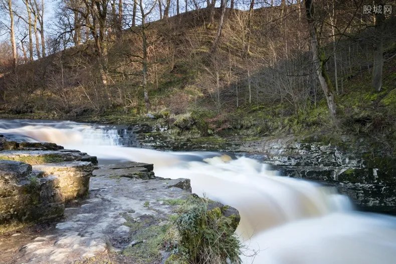 牦牛过冰河致坍塌 直接经济损失达642000元