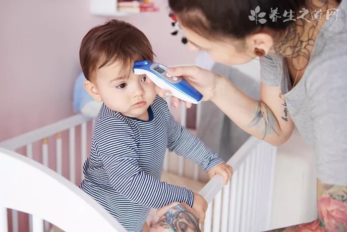 巨型蜥蜴超市蹭凉 新手如何养蜥蜴