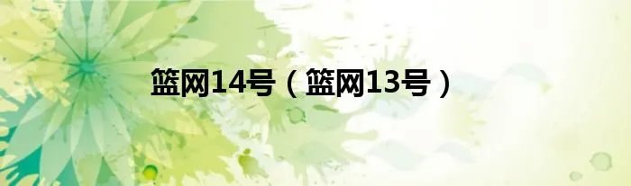 篮网14号（篮网13号）