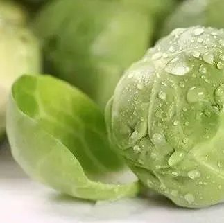 血液垃圾的天敌!中年以后一定要记得吃!（图文介绍）