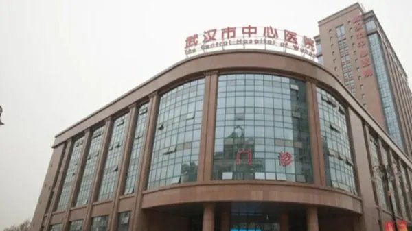 蔡莉不再担任武汉市中心医院党委书记，她做了什么事？