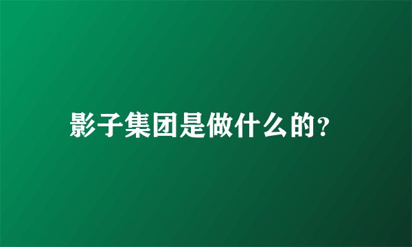 影子集团是做什么的？