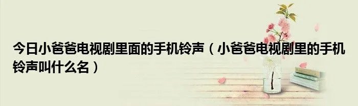 今日小爸爸电视剧里面的手机铃声（小爸爸电视剧里的手机铃声叫什么名）