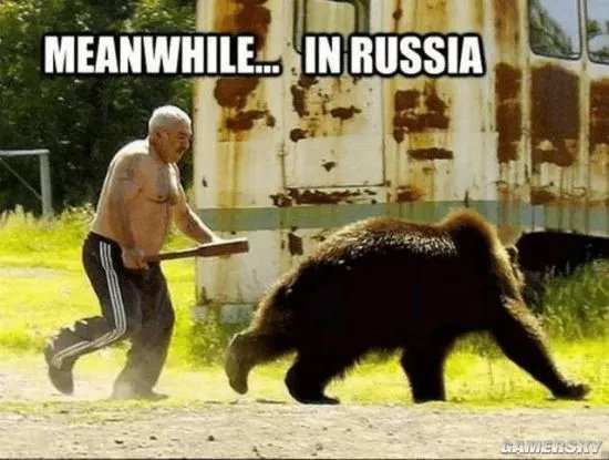 俄罗斯一黑猫逼退棕熊 网友：是不是罗小黑？