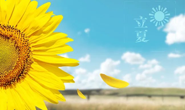 中国农历有多少个节气 中国农历24节气简单解释