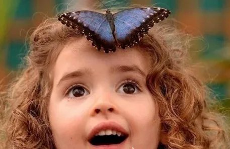 英国举行蝴蝶展是怎么回事？