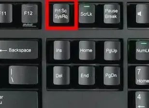 电脑截图快捷键有几种