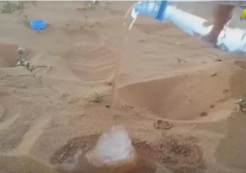 沙漠中倒下水接下来现惊奇一幕（组图）