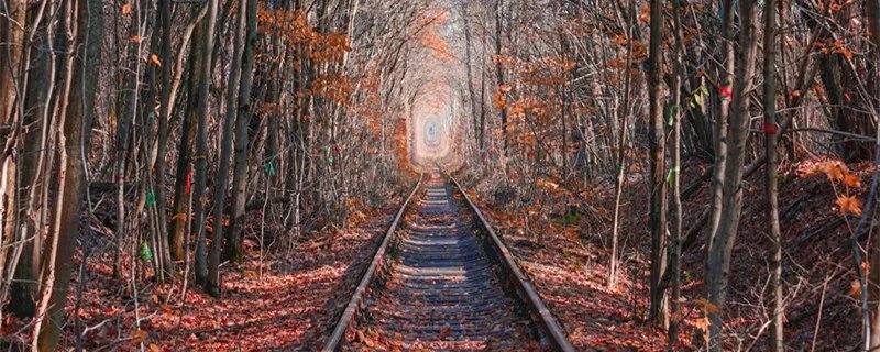 秦岭隧道最长多少公里 秦岭隧道简介