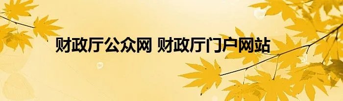 财政厅公众网 财政厅门户网站