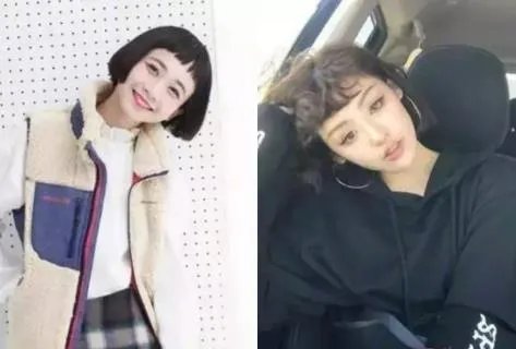 刘阳半藏森林出轨啥意思 半藏森林不带T聊天记录