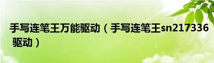 手写连笔王万能驱动（手写连笔王sn217336 驱动）