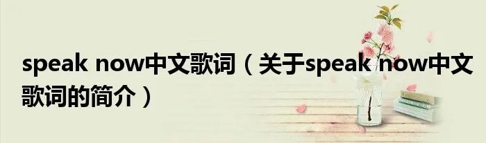 speak now中文歌词（关于speak now中文歌词的简介）