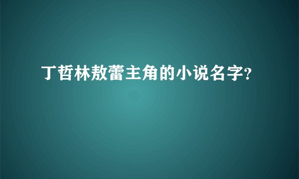 丁哲林敖蕾主角的小说名字？