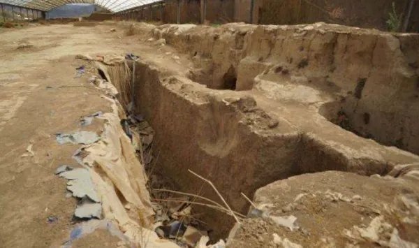 甘肃天水警方通报墓葬损毁事件，此案件的具体细节是什么？