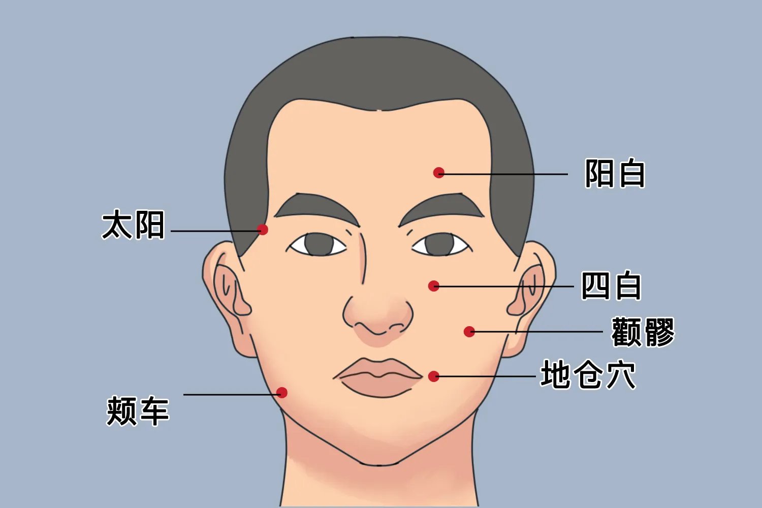 面瘫针灸的部位图