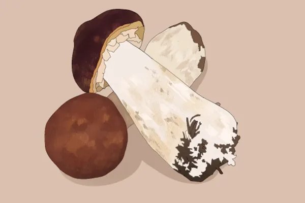 寒性食物吃多了会怎样