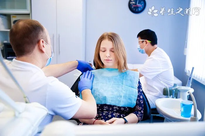 博美犬常见口腔和牙齿疾病