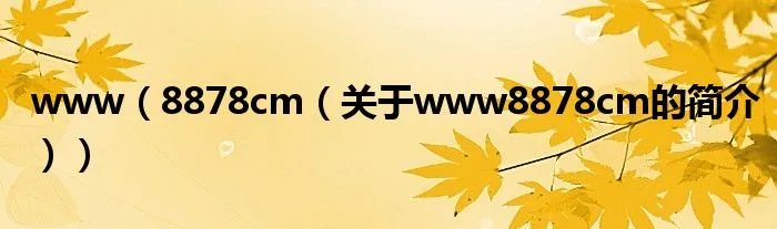 www（8878cm（关于www8878cm的简介））