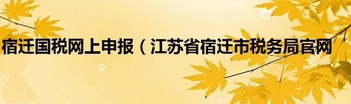 宿迁国税网上申报（江苏省宿迁市税务局官网